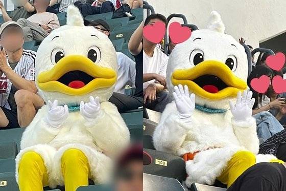 지난 25일 서울 잠실종합운동장에 10년 만에 모습을 드러낸 오리갑이 27일에도 경기를 관람하기 위해 야구장을 찾은 모습. LG트윈스 팬들은 손하트하는 오리갑 등 인증샷을 엑스(X)에 잇따라 올리고 있다. 사진 X 캡처