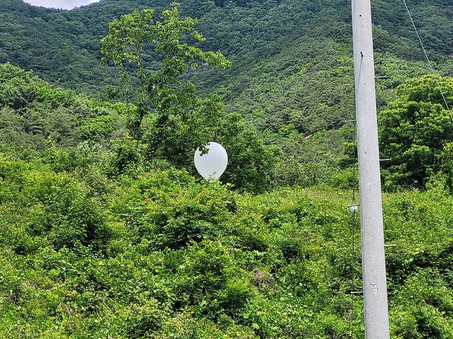 6월 9일 낮 12시29분 충북 영동군 황간면 인근 야산 중턱에서 북한 대남 오물 풍선이 발견됐다. 사진제공=영동소방서  /사진=안성수