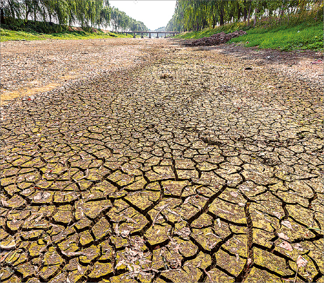 세계 곳곳에서 고온에 따른 가뭄 등 극단적인 기상 현상이 발생해 농작물 재배에 어려움을 겪고 있다. 사진은 중국 중부 허난성의 강이 가뭄 끝에 말라버린 모습. AP연합뉴스