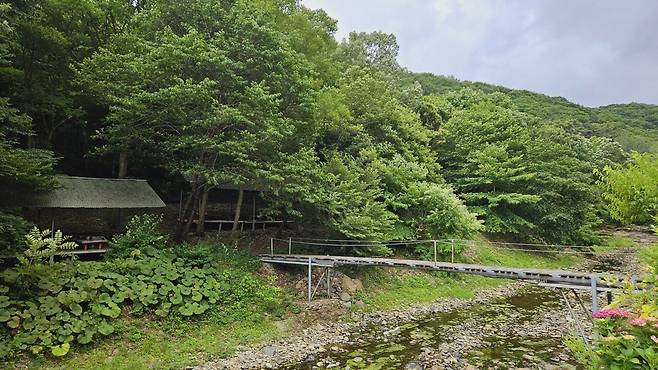 20240629_123407.jpg 장모님 생신 비오는 날 계곡 닭백숙과 오리주물럭