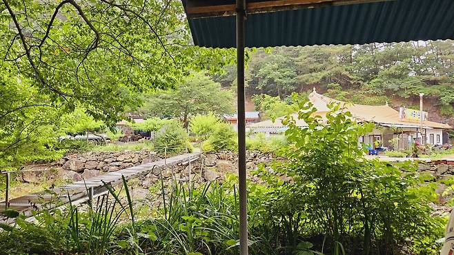 20240629_133640.jpg 장모님 생신 비오는 날 계곡 닭백숙과 오리주물럭