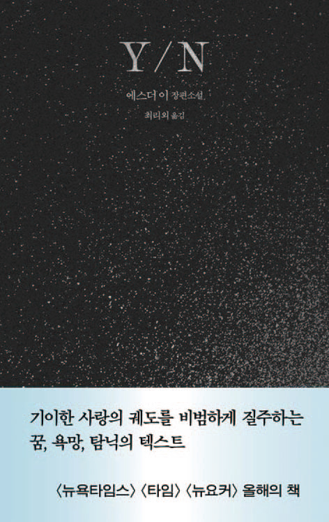 Y/N│에스더 이 지음│은행나무 펴냄│260쪽│1만6800원