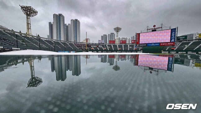 30일 장맛비가 내린 부산 사직야구장. 밤새 내린 비로 결국 30일 롯데-한화의 더블헤더 2경기가 모두 취소됐다.