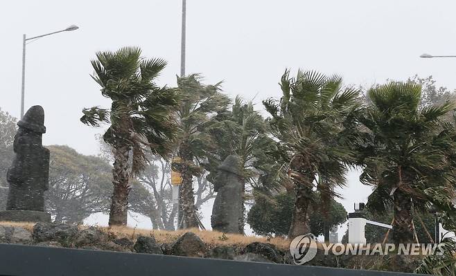 강풍 몰아치는 제주공항 [연합뉴스 자료사진]