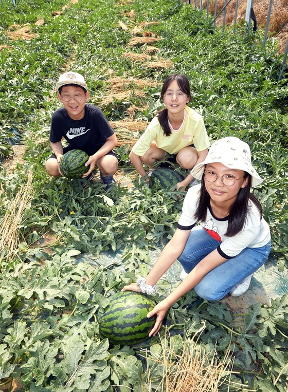박건희·김수민·정하은(왼쪽부터) 학생기자가 농촌에서 즐기는 휴가인 촌캉스에 대해 알아보기 위해 농촌체험마을을 찾아갔다.