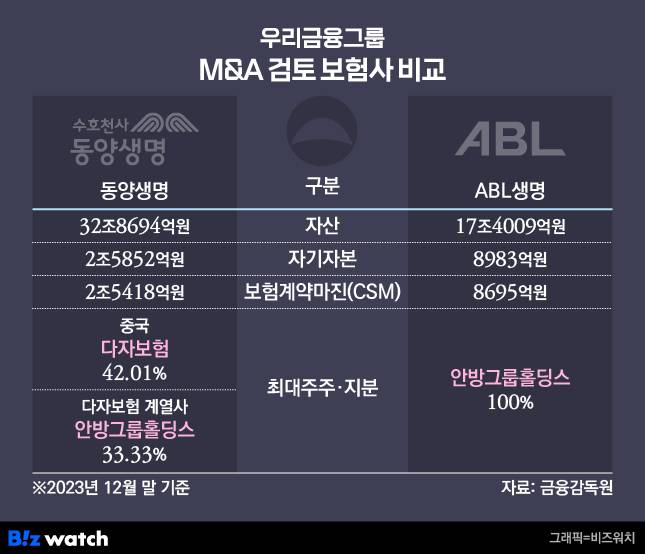 우리금융그룹 M&A 인수합병 검토 보험사 비교/그래픽=비즈워치