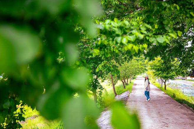 ◇금소비단물길산책 생태공원.