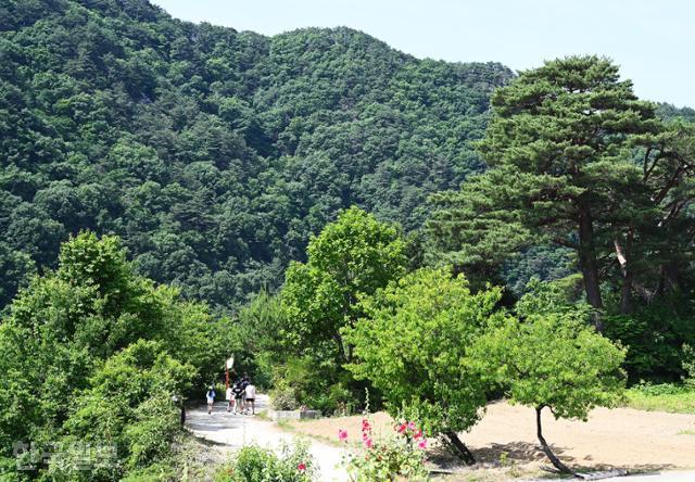 왕피천 탐방로가 시작되는 굴구지 마을은 각종 산촌 체험을 운영하고 있다.