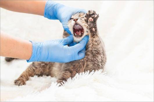 게티이미지뱅크