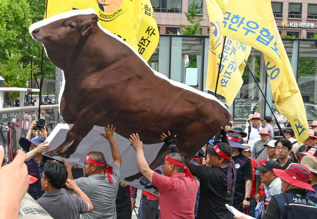 전국한우협회가 소 모형을 국회에 전달하기 위해 경찰 차단 시설물 위로 넘기고 있다.