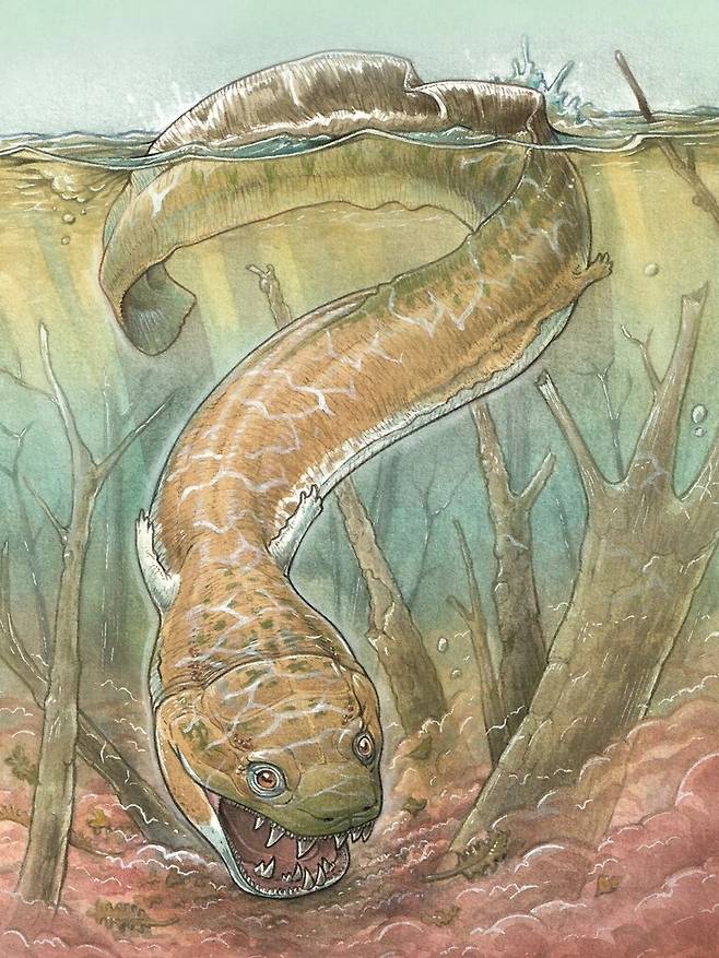 2억8000만년 전 남아프리카 나미비아의 나미브 사막에서는 도롱뇽처럼 생긴 거대 포식자가 살았다는 연구 결과가 나왔다. ‘가이아시아 제니애’ 상상도. 가브리엘 리오/네이처 제공