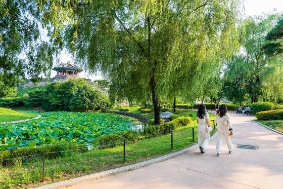 수원화성 화홍문 인근의 용연(방화수류정). '선재 업고 튀어'에서 선재가 솔에게 자전거를 가르쳐주던 장소다. 백종현 기자