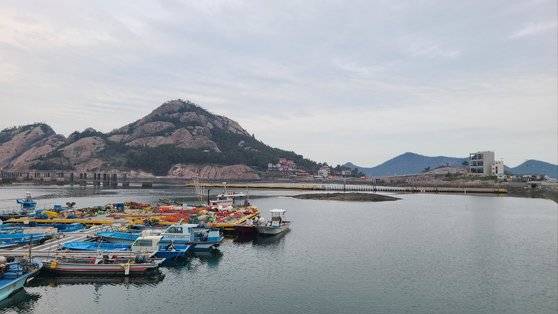 장자도 해상낚시공원 인근에 소형 어선들이 떠 있다. 사진 독자