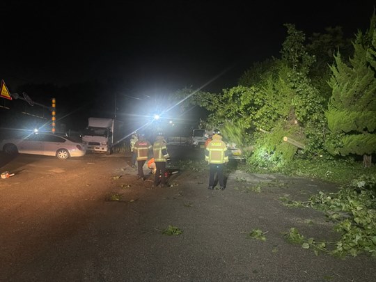 <사진 출처: 인천 부평구청> 오늘 새벽 2시쯤 인천 부평구 주택가에서 강풍에 나무가 넘어지면서 주차돼 있던 승용차 두 대가 파손됐다.