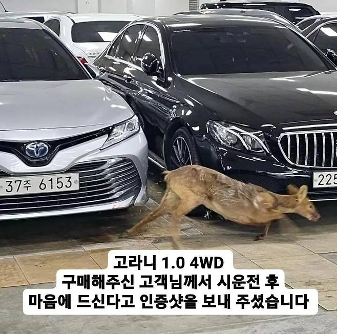 1000016805.jpg 중고차 보러온 손님을 119불러서 내쫒은 매장