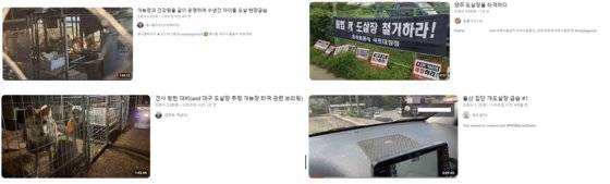 개농장 등을 급습해 동물 구조 과정을 라이브 방송하고, 후원금을 받는 ‘타격’ 콘텐트가 성행 중이다. 업계에선 개농장과 번식장 급습을 ‘타격한다’고 표현한다. 유튜브 캡처