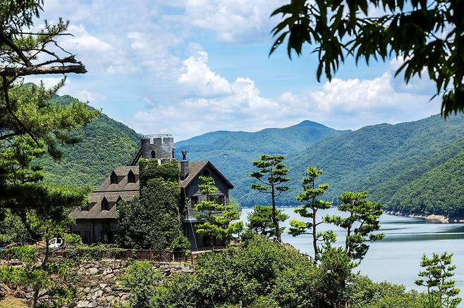 충북 옥천의 수생식물학습원은 '옥천군 디지털 관광주민증' 인기 여행지다. '천상의 정원'이라는 별칭이 있는 수생식물학습원은 녹음이 짙어지는 여름에 더 이국적 정취를 뽐낸다. / 양수열 영상미디어 기자