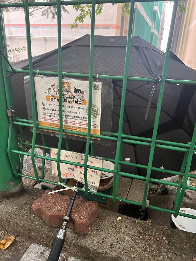 우리동네 켓맘 형법