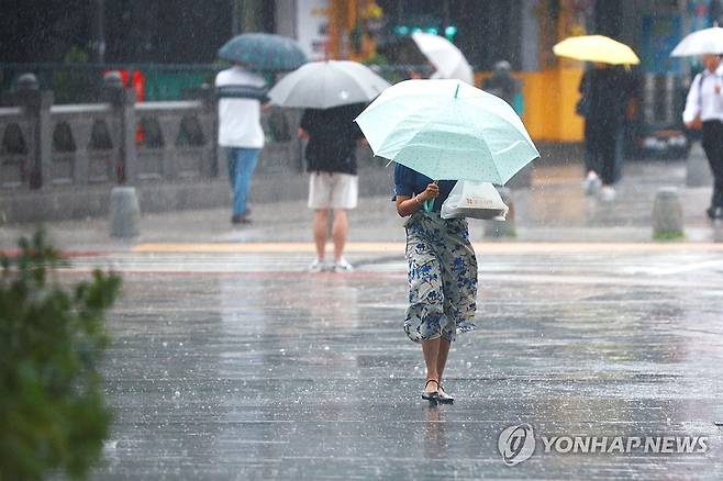 요란한 장맛비 (서울=연합뉴스) 진연수 기자 = 전국적으로 장맛비가 내린 2일 오후 서울 종로구 일대에서 우산을 쓴 시민들이 이동하고 있다. 2024.7.2 jin90@yna.co.kr