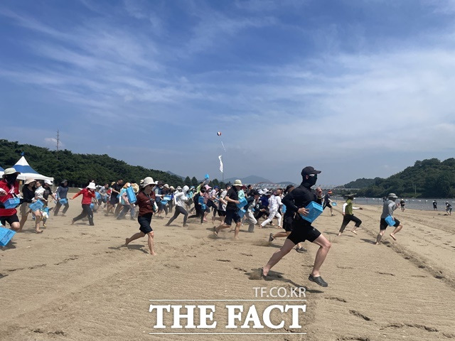 하동섬진강문화재첩축제 모습./하동군