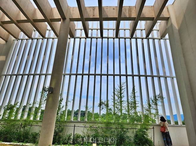 레인보우 힐링센터