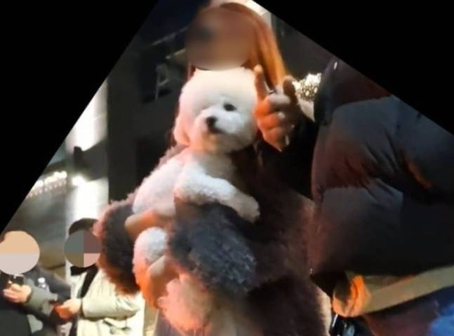 검찰이 만취 상태로 앞서가던 오토바이 운전자를 들이받아 숨지게 한 유명 DJ에 대해 징역 15년을 구형했다. 사진은 해당 DJ가 사고 직후 강아지를 안고 있는 모습. /사진=보배드림 캡처