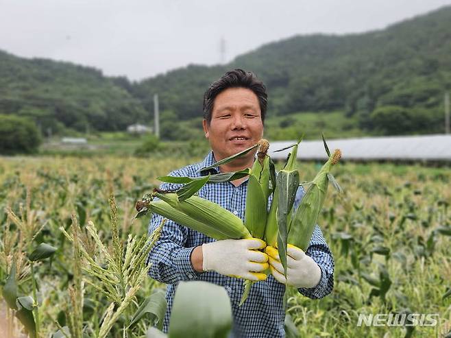 [통영=뉴시스] 신정철 기자= 통영시(시장 천영기)는 오는 7월 말까지 도산면 일대에서 생산되는 여름 별미인 초당옥수수 수확, 인근 국도 등에서 판매한다고 9일 밝혔다.사진은 생산자와 초당옥수수 모습.(사진=통영시 제공).2024.07.09. photo@newsis.com *재판매 및 DB 금지