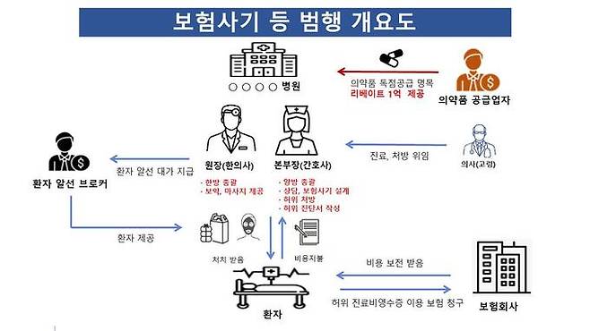 보험사기 범행 개요도.