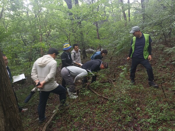 경남도 사회대통합위원회는 9일 거제남부관광단지 사업 예정지인 노자산(거제시 동부면 율포리 일대) 현장을 찾았다. /경남도