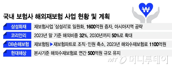 국내 보험사 해외재보험 사업 현황 및 계획/그래픽=이지혜