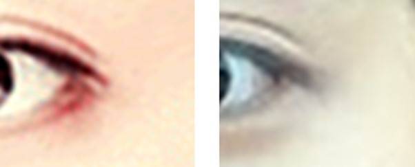 강아지상과 고양이상의 눈꼬리는 별 차이가 나지 않습니다.