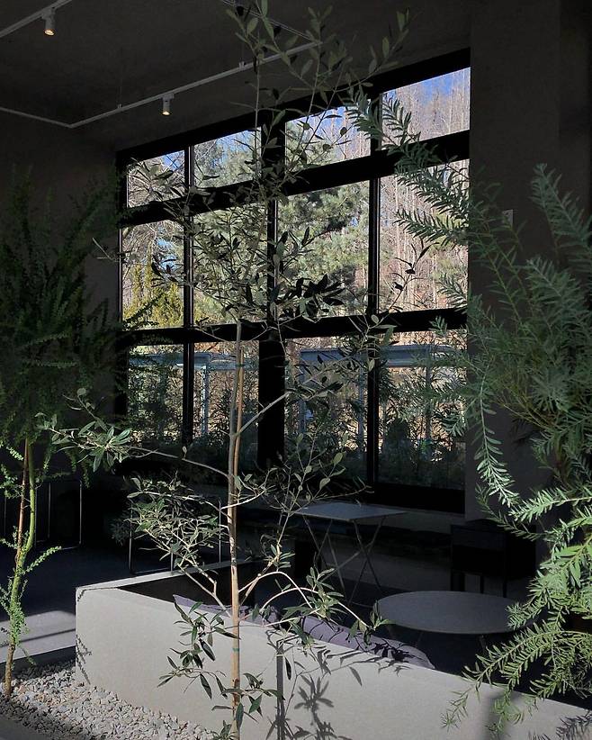 인스타그램 @cafe_sanare