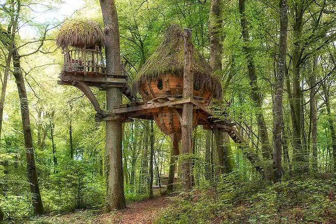 에어비앤비 홈페이지