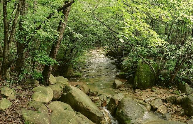 전남 강진군이 여름 휴가철을 맞아 지역 명소인 월출산 국립공원 경포대 계곡<사진>을 오는 8월 18일까지 한시적으로 개방한다. 강진군 제공