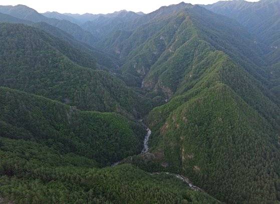 덕풍계곡 상공에서 드론으로 본 용소골. 험준한 V자 협곡이 휘돌아나가는 계곡의 진수를 보여준다.