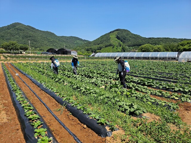 동방아그로는 6월10일~7월5일 자체 기술연구소 시험포장에서 입사 1년 미만 영업 분야 신규직원을 대상으로 직접 약제를 살포하는 등의 교육을 시행했다. 동방아그로