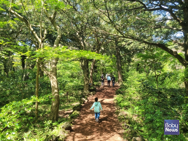 숲, 바다, 산이 함께 모여 있는 제주는 최고의 여름 피서지다. ⓒ김재원