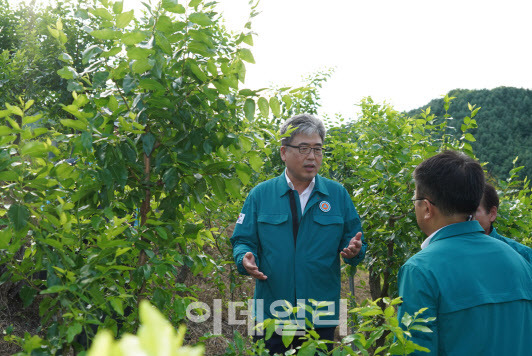 임상섭 산림청장(왼쪽)이 15일 충북 청주시 상당구 대추임가에서 피해현황을 살피고 있다. (사진=산림청 제공)