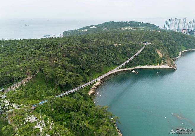 울산 대왕암공원 출렁다리. 울산시 제공