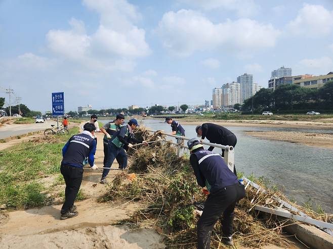 대전천 삼선교 자전거도로 인근 정화 활동 사진.