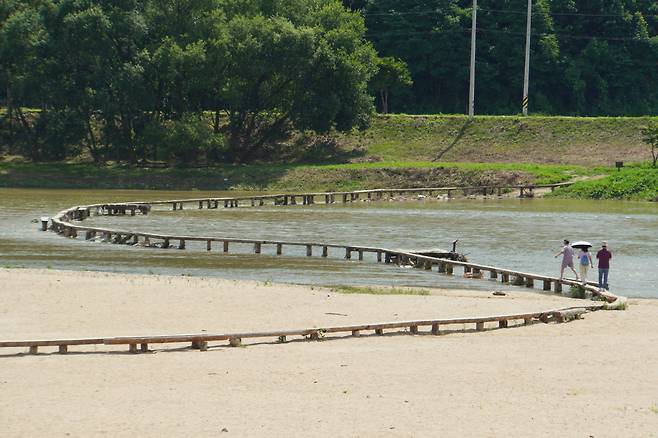 무섬마을 S라인 외나무다리