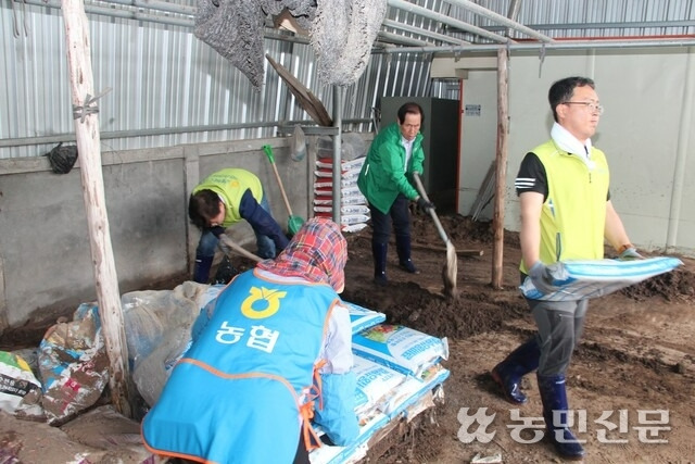 경북농협, 농가주부모임, 동안동농협 임직원들이 15일 안동시 대곡리 일대 폭우 피해 지역에서 복구작업을 하고 있다.