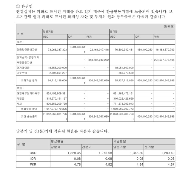 사진 제공=금융감독원 전자공시시스템