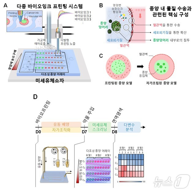 랩온어칩 종양 모델에서의 항암제 효능 평가 기술 개략도. (KAIST 제공)/뉴스1