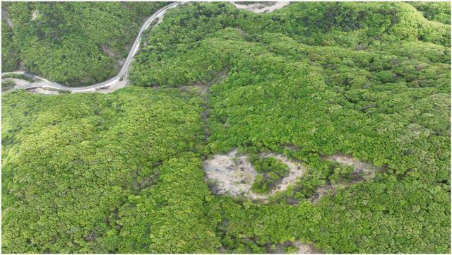 녹색연합이 드론으로 촬영한 945번 지방도(위)와 '황용동 땅밀림 발생지1'(아래) 모습. 나무 등 주변 식생이 다 쓸려내려가 회백색 토사가 훤히 드러나 있다. 계곡과 인접한 땅밀림 발생지 하단부에서부터 상단부까지 길이가 200m에 달하고, 범위는 3,700평에 달한다는 설명이다. 박재현 교수는 땅밀림 발생지 전체 토사량을 45만㎥로 추정했다. 녹색연합 제공