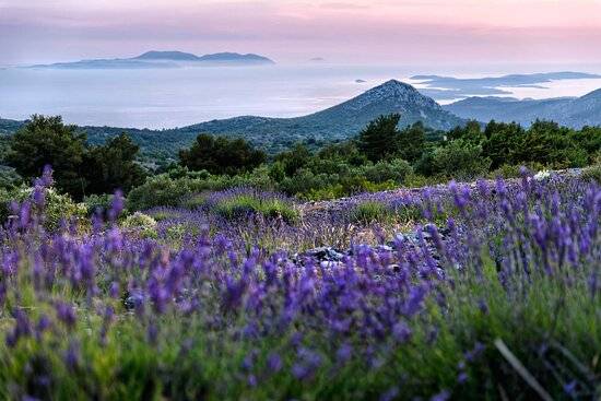 출처: 트립어드바이저