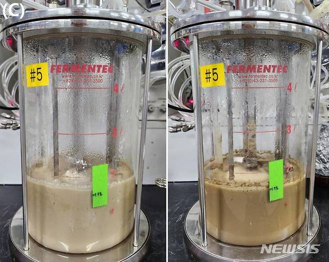 [세종=뉴시스]농촌진흥청은 보릿짚 섬유소를 활용해 미생물의 영양원을 만드는 기술을 개발했다.(사진=농진청 제공)