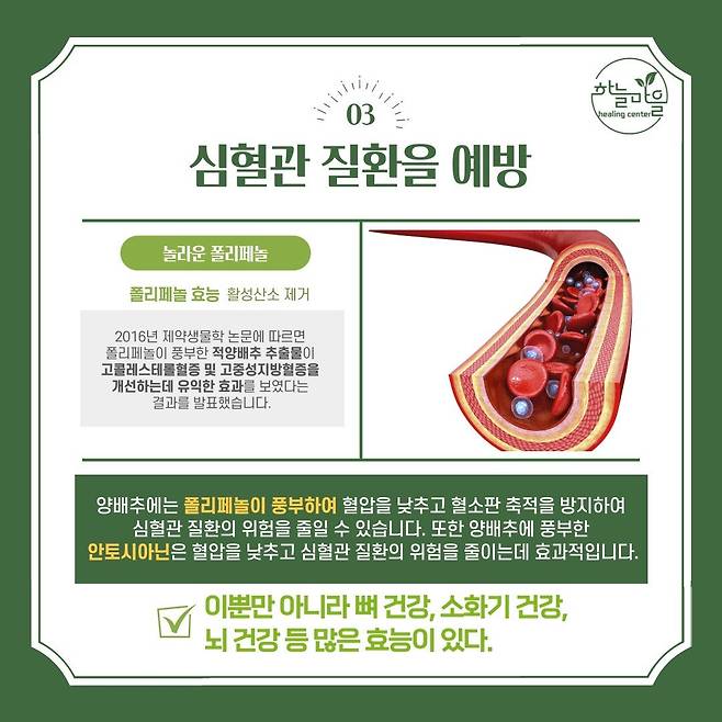 IMG_0581.jpeg 가격대비 미친 효능을 가진 식품