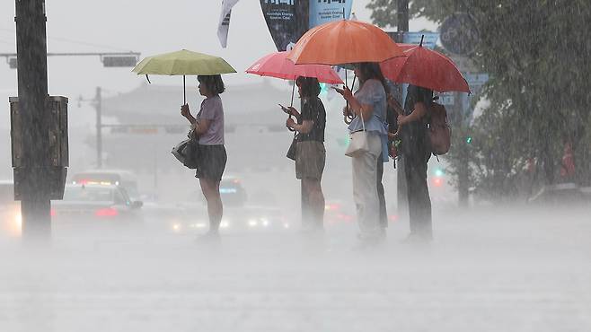 사진 제공 : 연합뉴스