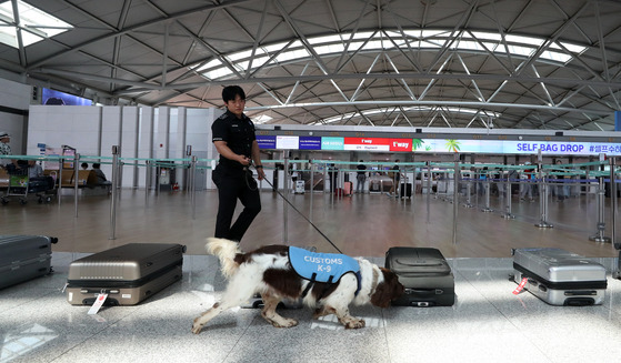 An official and a sniffer dog carries out a test run of detecting drugs at Incheon Airport on June 18. [NEWS1]